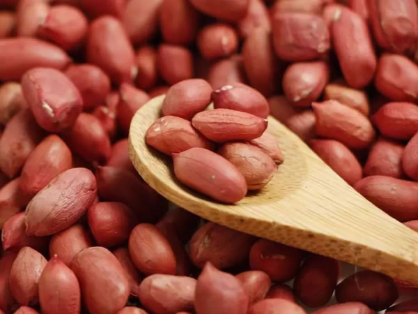 花生除杂振动筛 花生除杂振动筛