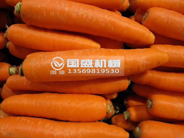 国盛胡萝卜脱水挤压机