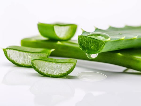 芦荟螺旋压榨机 芦荟螺旋压榨机