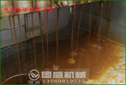 家禽废弃物压榨脱水